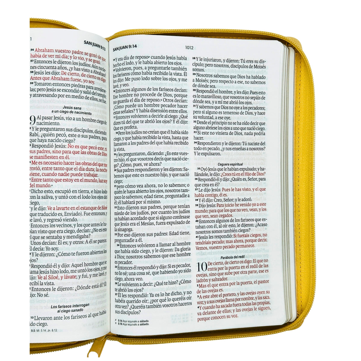 Biblia Reina Valera 1960 Tamaño Manual Con Cierre - Beige con hojas