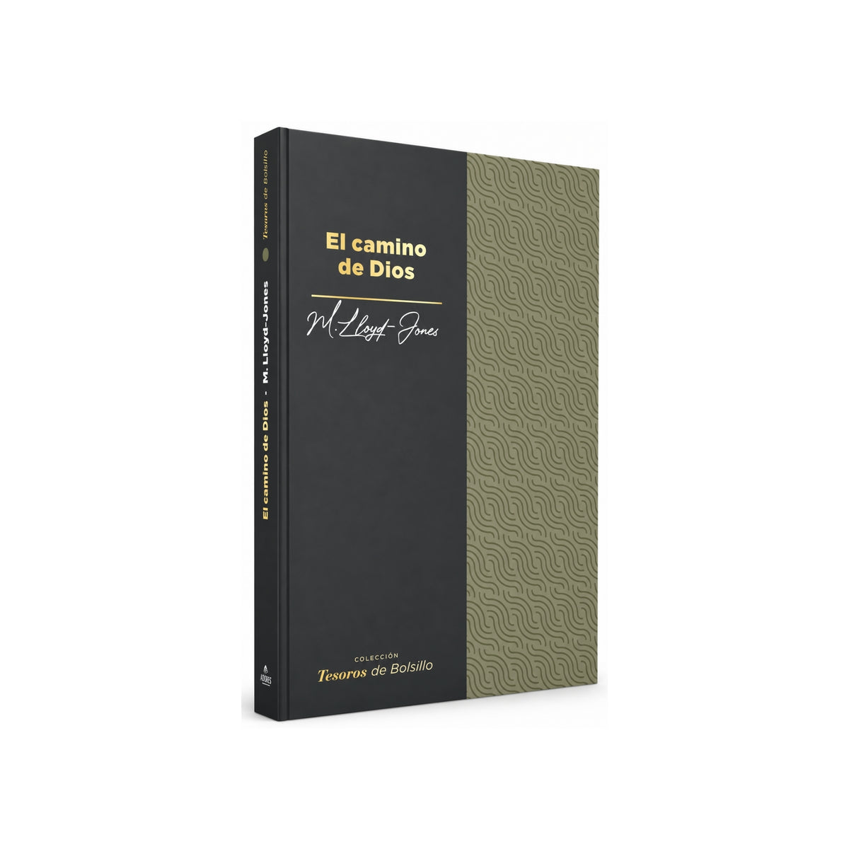 El camino de Dios por Martyn Lloyd Jones