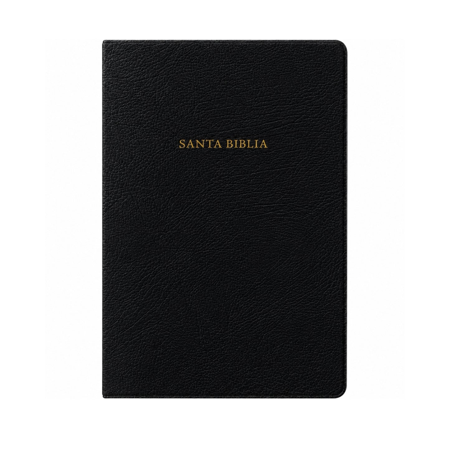 Biblia Reina Valera 1960 de estudio Scofield, negro, piel fabricada