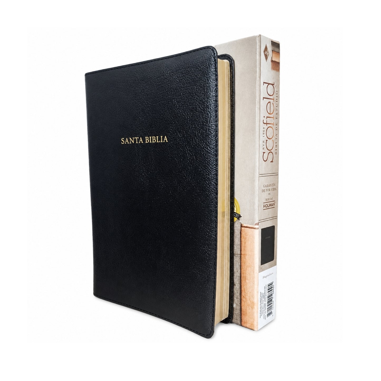 Biblia Reina Valera 1960 de estudio Scofield, negro, piel fabricada