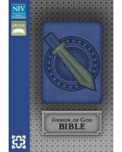 Bible NIV Armor Of God Blue Silver Imitation Leather