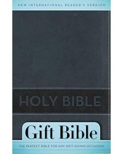 Bible NIRV Gift Slate Blue Imitation Leather