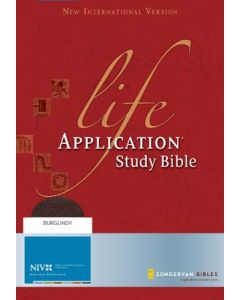 Study Biblie Life Application Niv Lether Bound Large Size With Index Burgundy Color