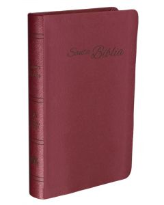 Biblia Version Rva Imitacion Piel Tamaño Manual Color Rojo