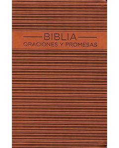 Biblia Oraciones Y Promesas Version Nvi Imitacion Piel Tamaño Manual Color Cafe