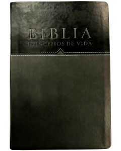 Biblia RVR60 Principio De Vida Piel Especial Tamaño Grande Negro Gris
