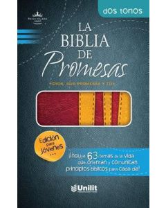 Biblia RVR60 Promesas Edicion Juvenil Piel Especial Rojo AmarilloTamaño Manual