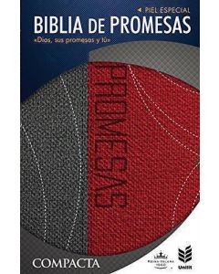 Biblia RVR60 Promesas Compacta Letra Grande Piel Especial Gris Roja Indice