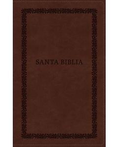 Biblia RVR1960 Ultrafina, Imitacion piel, color cafe, con cierre e imagenes historicas de tierra santa