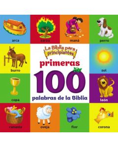 Biblia Para Principiantes Primeras 100 Palabras De La Biblia