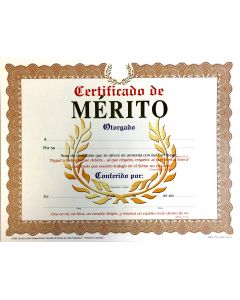 Certificado De Merito