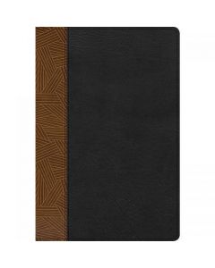Biblia de Estudio Arcoiris, RVR1960 Imitacio Piel Color Tostado/Negro con Índice