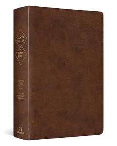 Biblia Bilingue RVR1960/ESV Imitacion Piel, Tamaño Manual, Color Cafe
