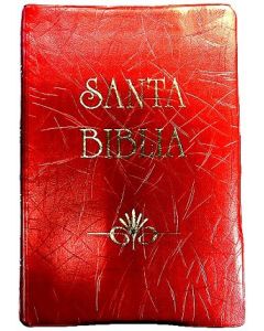 Biblia RVR60 Manual Letra Grande Vinil Cherry Indice