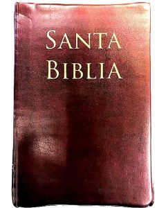 Biblia RVR60 Manual Letra Grande Vinil Cafe Indice