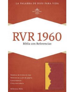 Biblia RVR60 Referencias Imitacion Piel Ambar Rojo Ladrillo