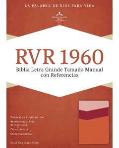 Biblia RVR60 Letra Grande Tamaño Manual Referencias Imitacion Piel Mango Fresa Duranzo Claro