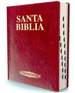 Biblia RVR09 Letra Grande Tamaño Manual Referencias Vinil Marron Indice