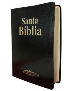 Biblia RVR09 Tamaño Manual Letra Grande Piel Fabricada Negro