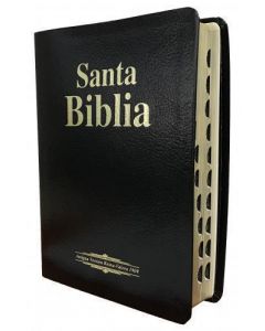 Biblia RVR09 Tamaño Manual Letra Grande Piel Fabricada Negro Indice