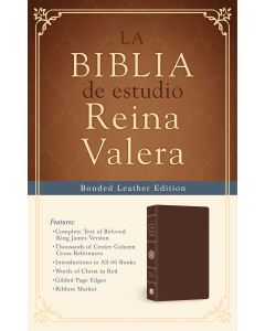Biblia RVR09 Estudio Reina Valera Concordancia Piel Elaborada Marron