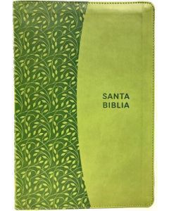 Biblia RVR1960, Tamaño Gigante, Senti Piel, Color Verde, Con Cierre e Imagenes de Tierra Santa