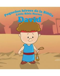 Libro Infantil Bilingue David