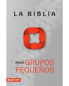 Biblia NBV (nueva biblia viva) para grupos pequeños, rustica