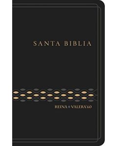 Biblia RVR60 Tamaño Manual Concordancia Vinil Negro