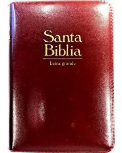 Biblia RVR60 Letra Grande Tamaño Manual Concordancia Imitacion Piel Vino Cierre Indice