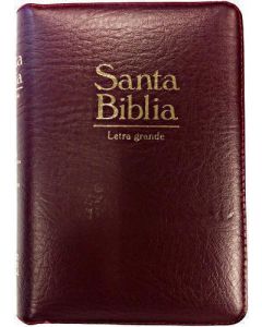 Biblia RVR60 Tamaño Compacto Acolchonada Imitacion Piel Vino Indice