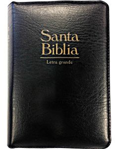 Biblia RVR60 Tamaño Manual Acolchonada Imitacion Piel Negro Indice