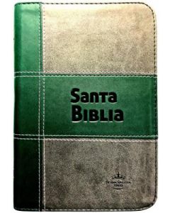 Biblia RVR60 Manual Cierre Indice Imitacion Piel Verde y Gris con Preguntas De Actualidad A La Luz De Las Escrituras