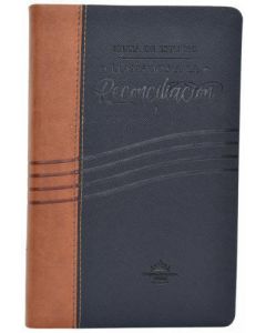 Biblia RVR60 Llamados a la Reconciliacion, Tamaño Manual, Imitacion Piel, Color Azul-Beige, Indice, Canto Plata