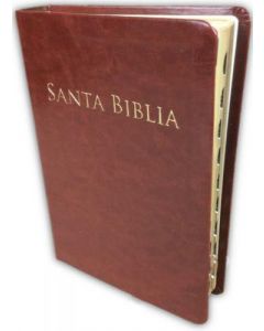 Biblia RVR60 Tamaño Manual Letra Grande Imitacion Piel Cafe Indice