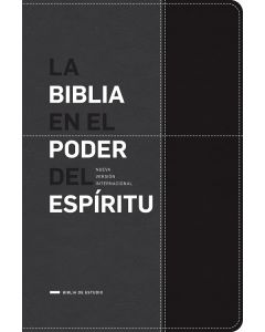 Biblia NVI En El Poder Del Espiritu Piel Italiana Negro Gris Tamaño Grande