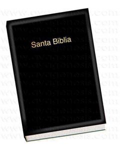 Biblia RVR60 Inspiracion Letra Grande Vinil Negro