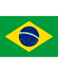 Mini Bandera De Brazil 4x6 Banner   Jay & Sons