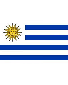 Mini Bandera De Uruguay 4x6 Banner   Jay & Sons