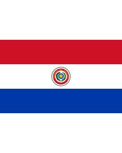 Mini Bandera De Paraguay 4x6 Banner   Jay & Sons